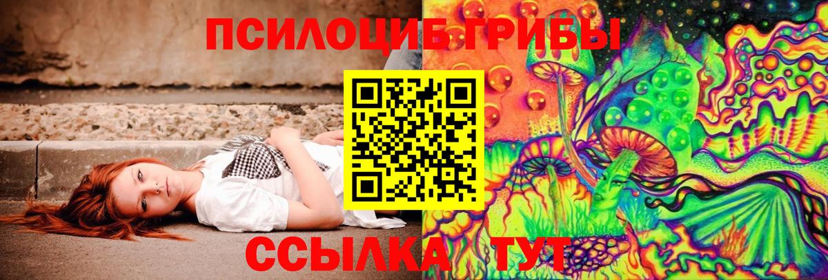 Галлюциногенные грибы GOLDEN TEACHER  Вход с VPN  Каменск-Уральский 