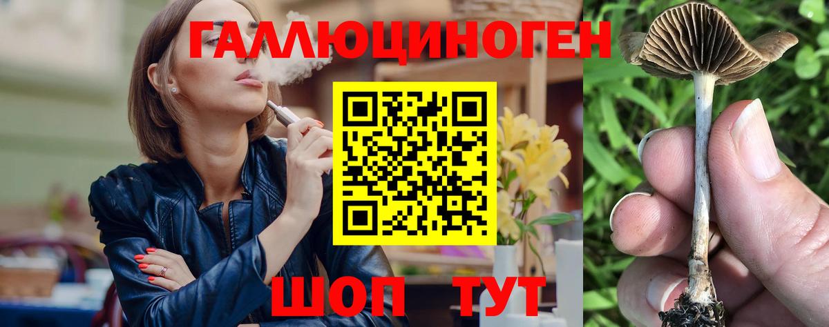 Псилоцибиновые грибы Magic Shrooms Каменск-Уральский